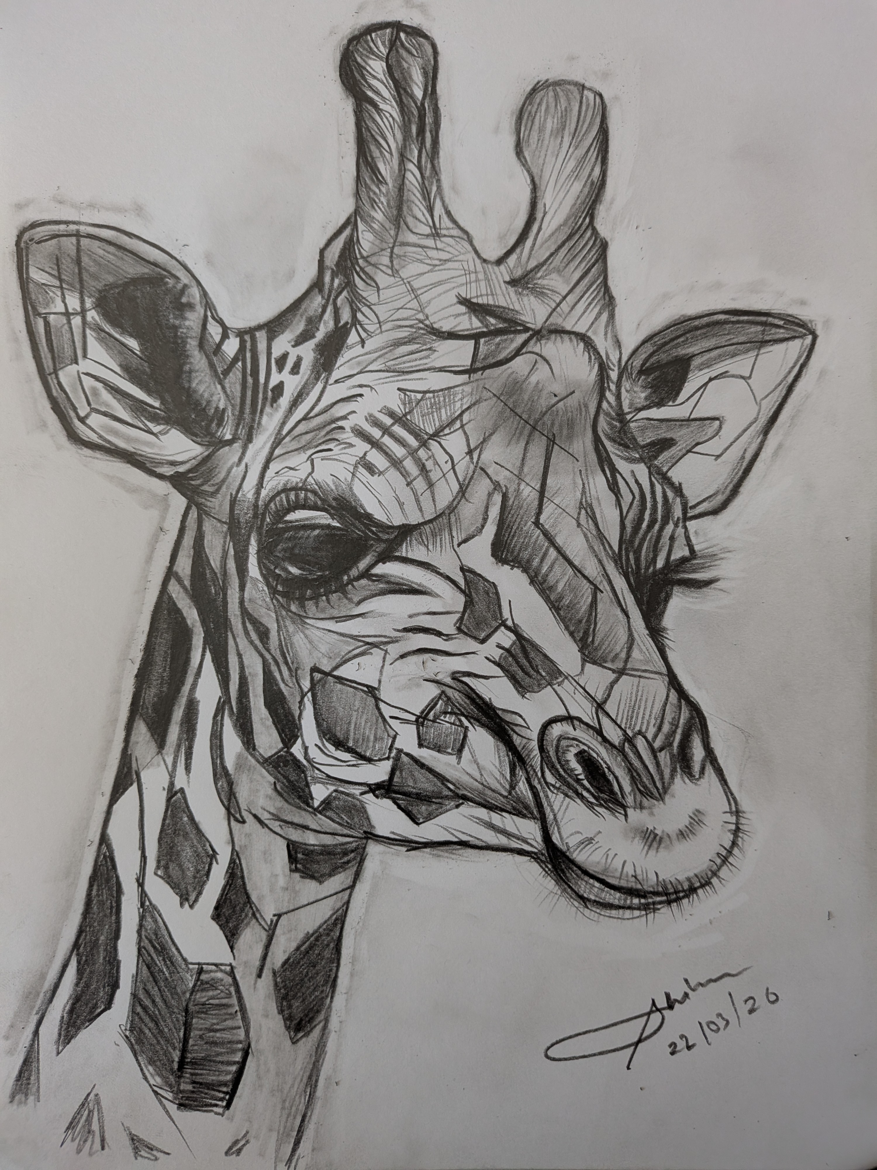 Giraffe