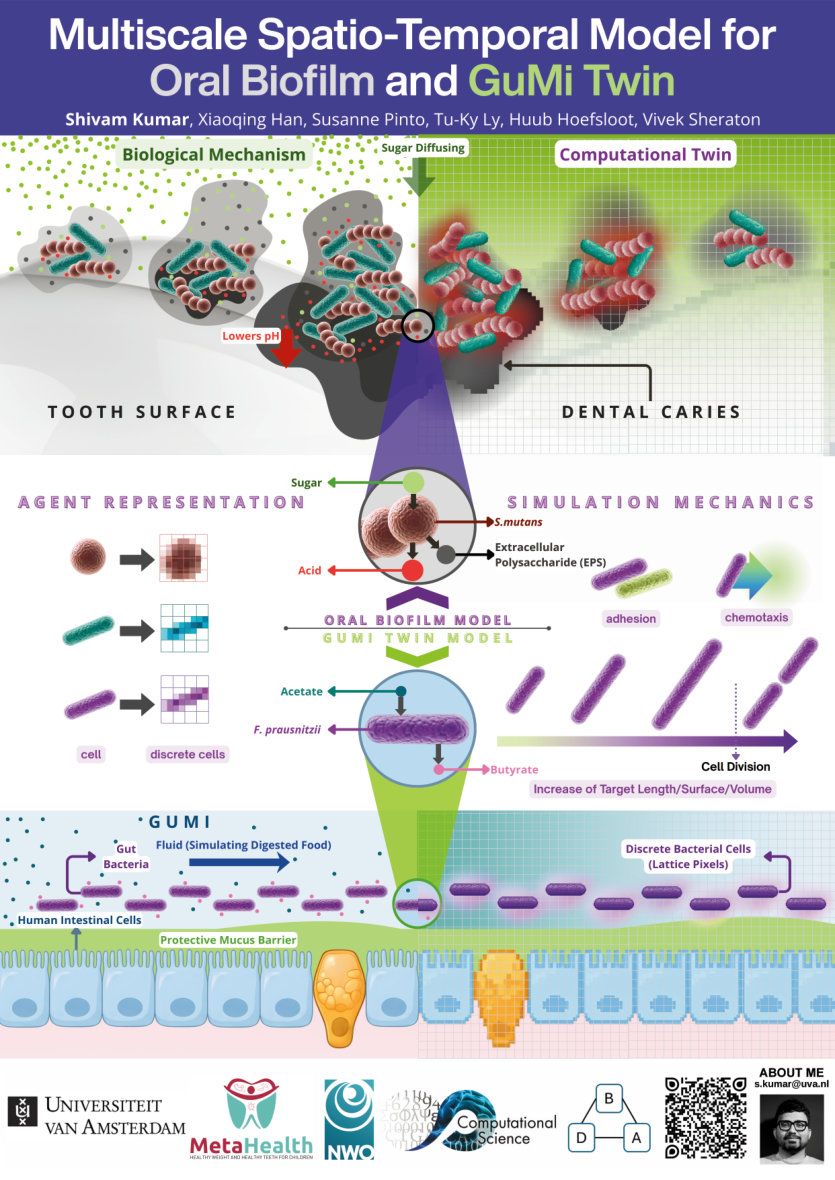 MetaHealth Consortium Poster preview