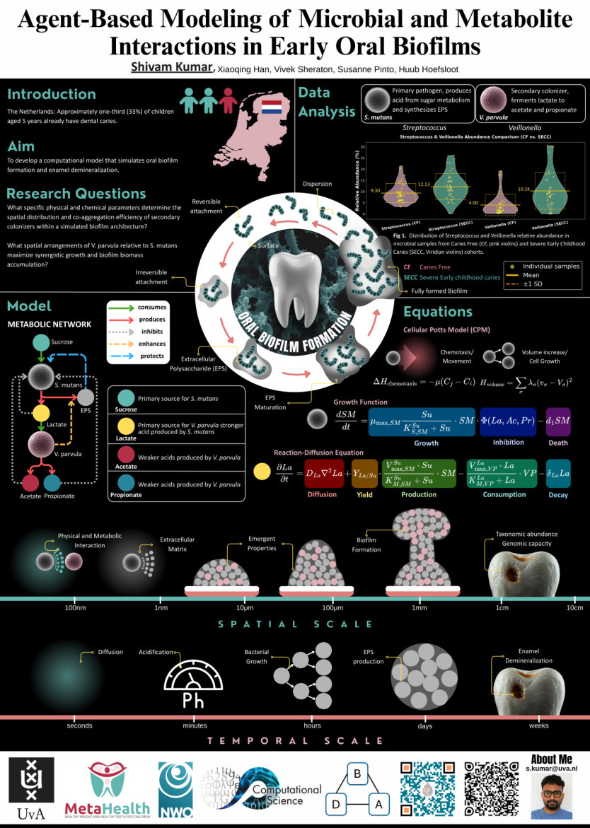 MetaHealth Poster preview